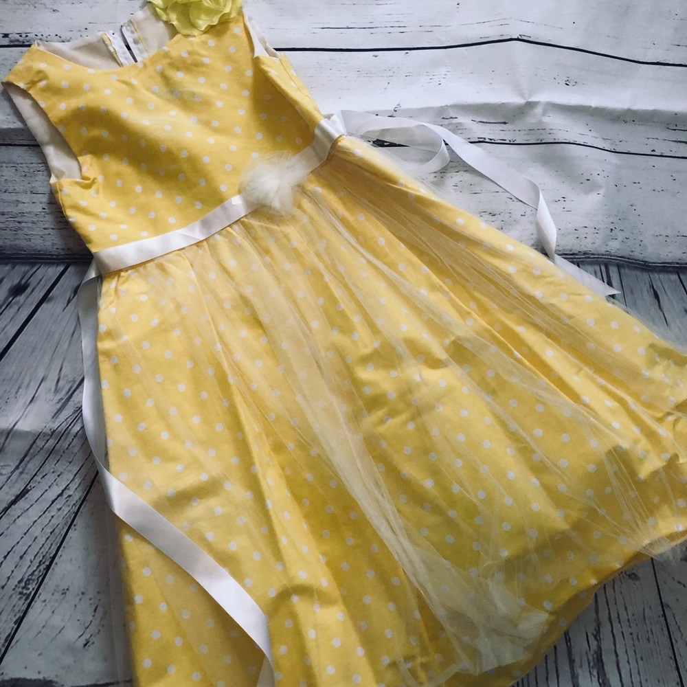 Girls bright and beautiful dress